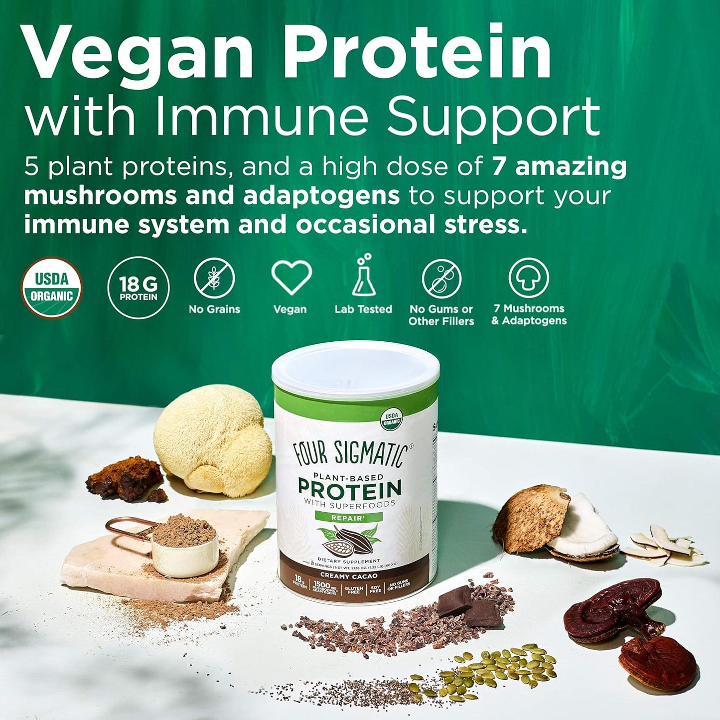 Organic Plant-Based Protein Powder Creamy Cacao Protein with Lion’S Mane, Chaga, Cordyceps and More | Clean Vegan Protein Elevated for Brain Function and Immune Support | 21.16 Oz