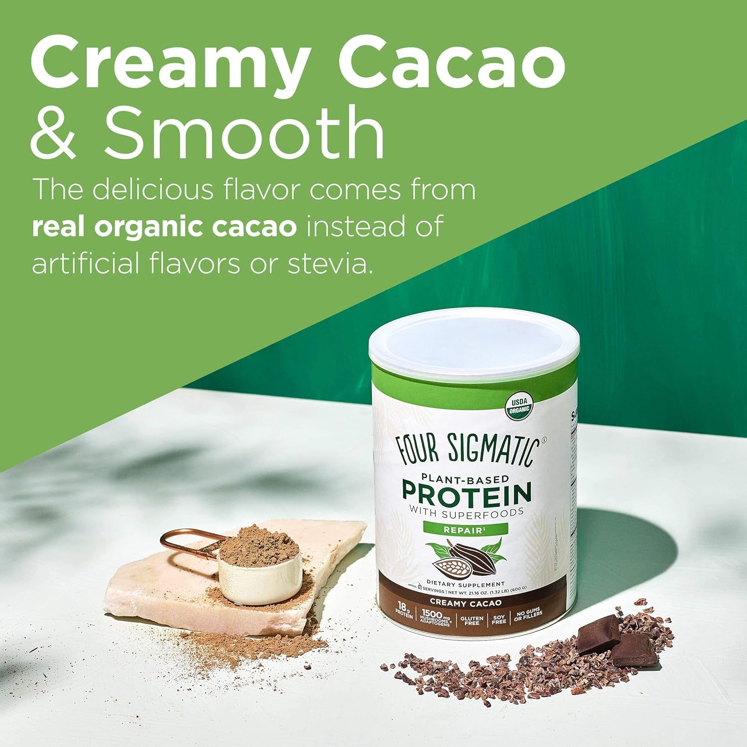 Organic Plant-Based Protein Powder Creamy Cacao Protein with Lion’S Mane, Chaga, Cordyceps and More | Clean Vegan Protein Elevated for Brain Function and Immune Support | 21.16 Oz